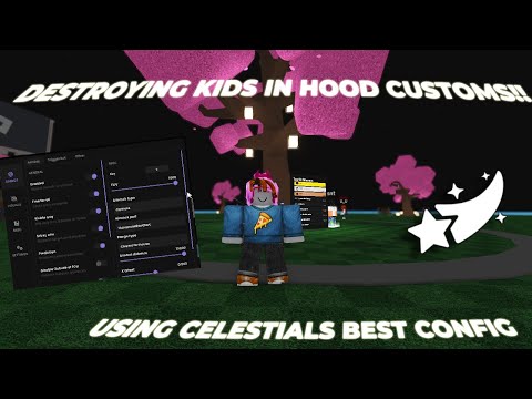 HOODCUSTOMSCONFIGGG
