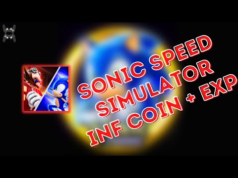 Sonic Speed Simulator
