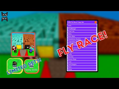 Fly Race
