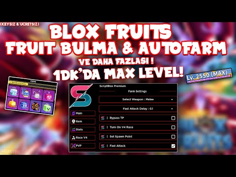 Blox Fruits Script (En İyisi)