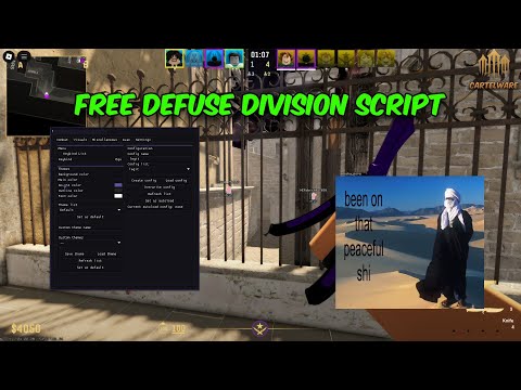 cartelware hvh for DefuseDivision