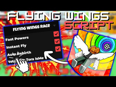 Flying Wings Race Simulator