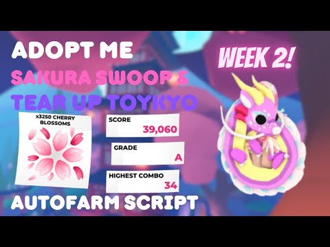 cherry blossom week 2